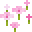 Rosa Blütenblätter